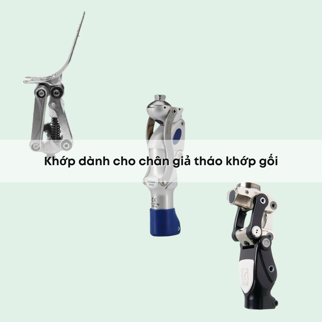 khớp giả dành cho chân mất khớp gối