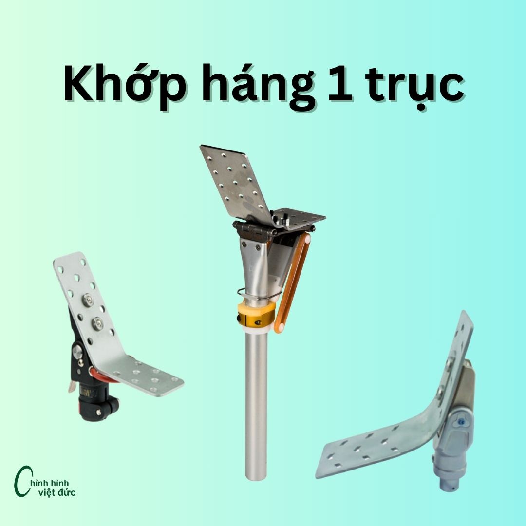 khớp háng một trục