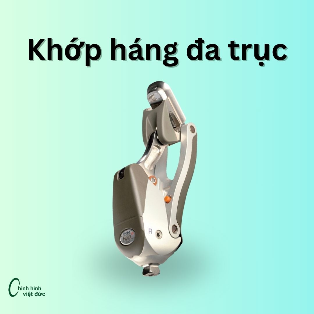 khớp háng đa trục