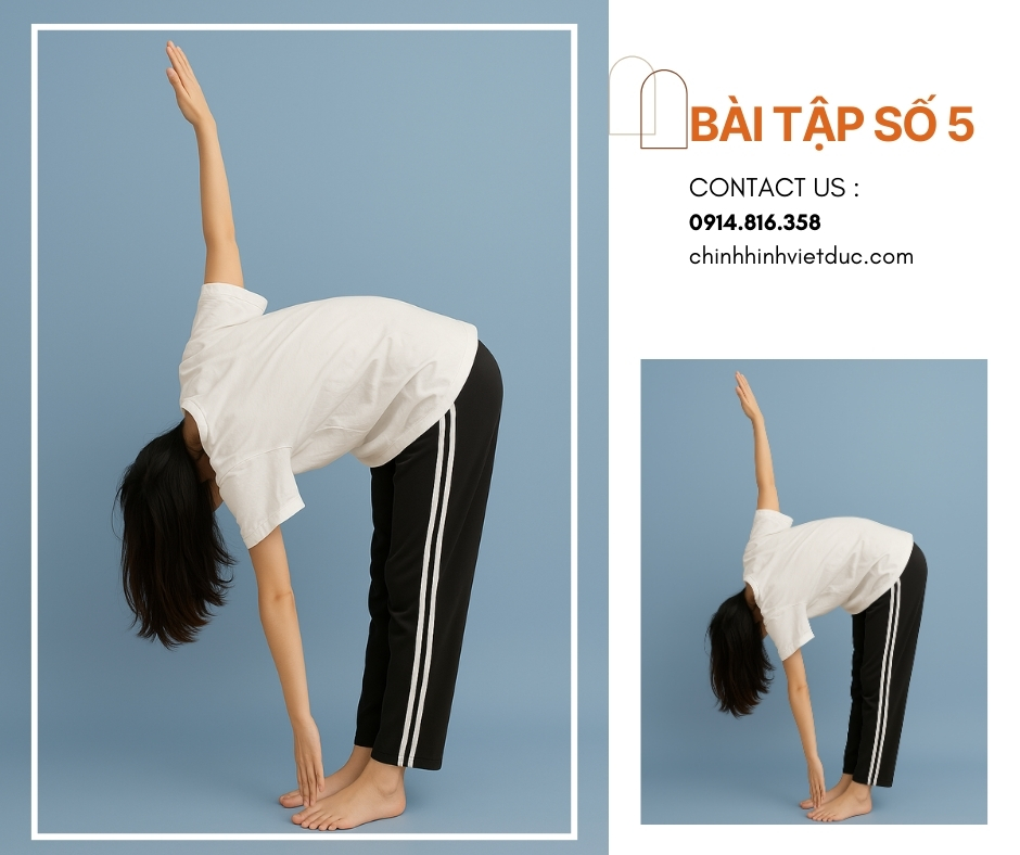 bài tập số 5 chữa cong vẹo cột sống