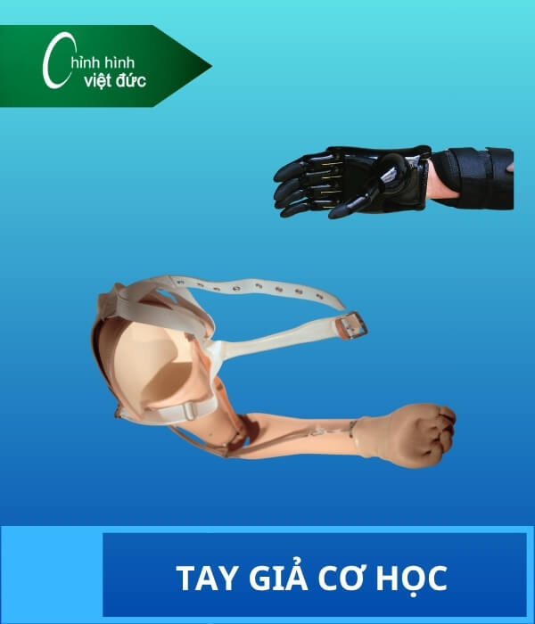 Tay giả chức năng