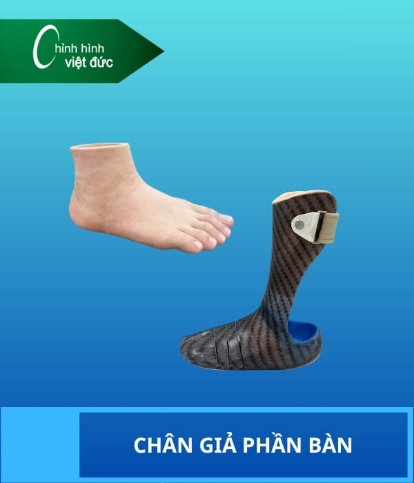 Chân giả phần bàn