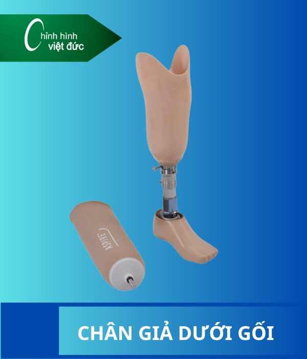 Chân giả dưới gối