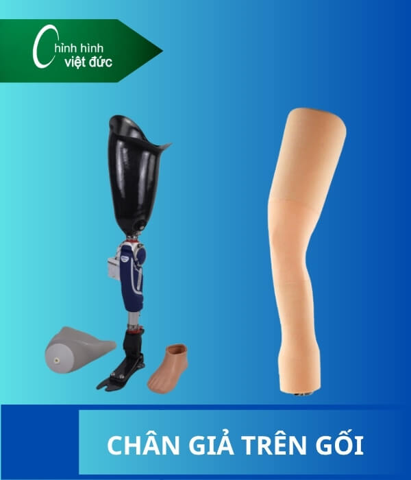 Chân giả trên gối