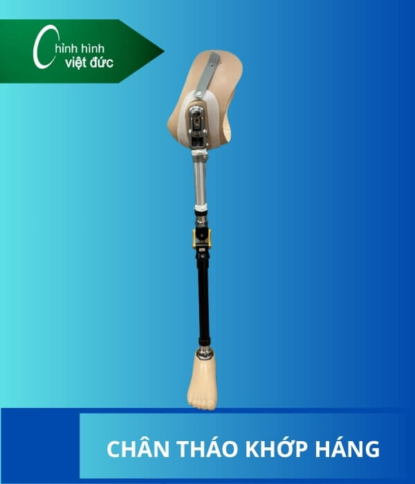 Chân giả tháo khớp háng