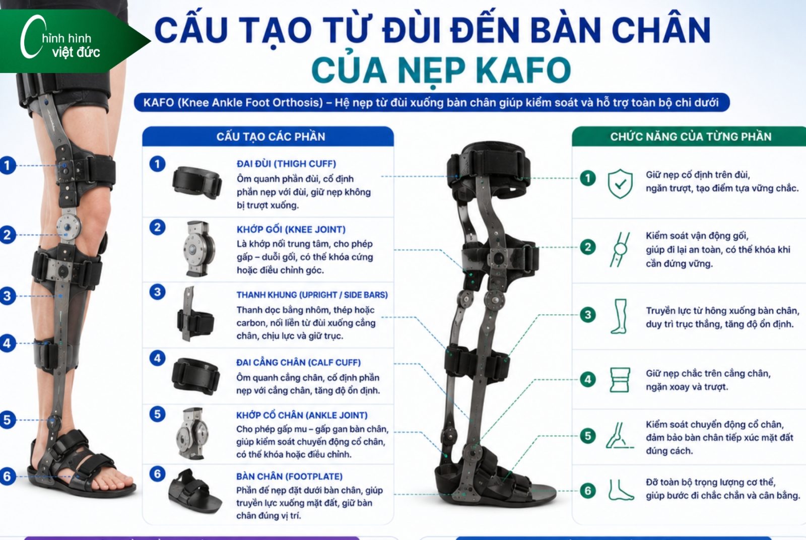 Các Loại Nẹp Chỉnh Hình Và Giải Pháp Phục Hồi Hiện Nay