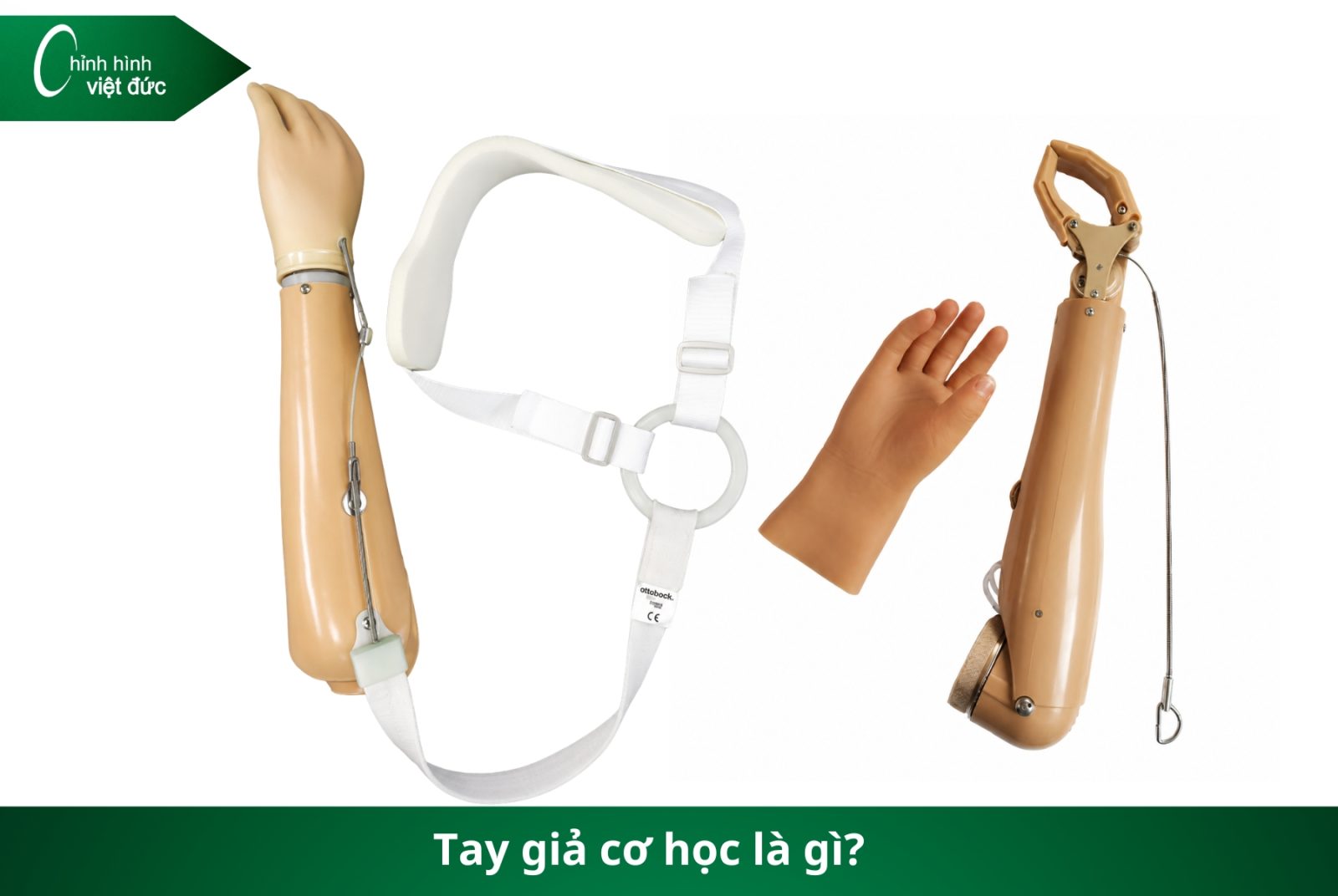 Các Loại Tay Giả Hiện Nay  Phân Loại Và Cách Chọn Phù Hợp