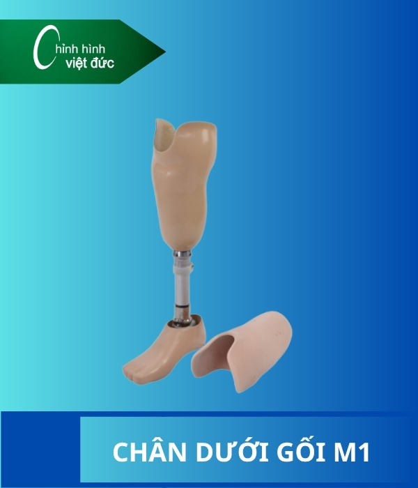 chân giả dưới gối