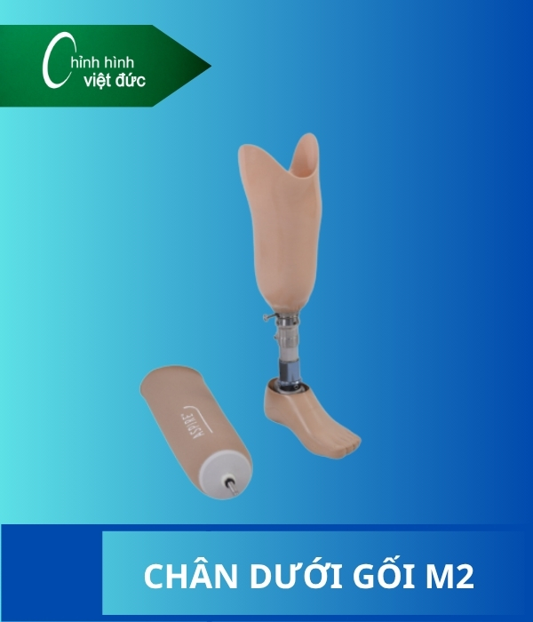 chân giả dưới gối