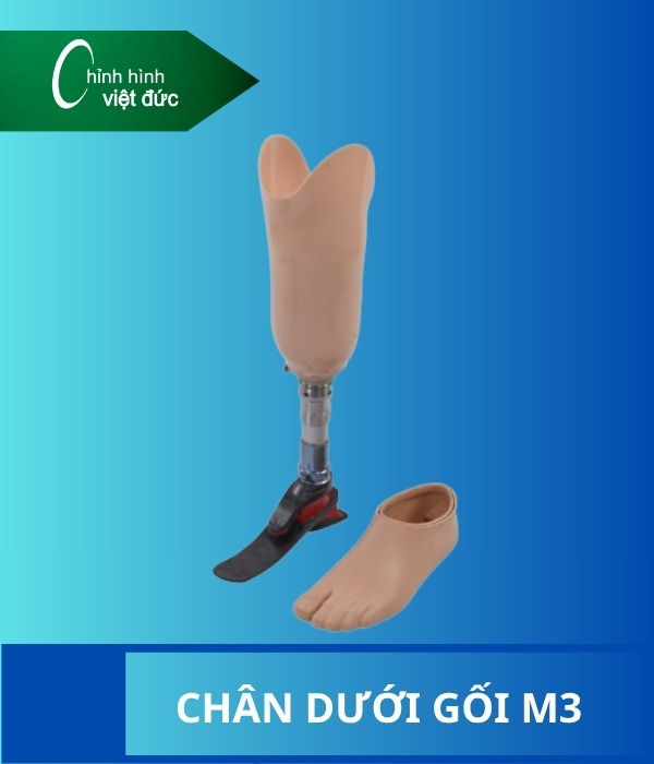 chân giả dưới gối