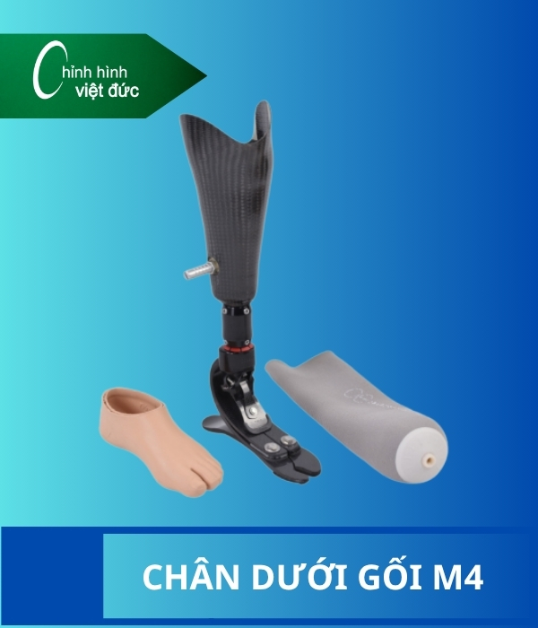 chân giả dưới gối