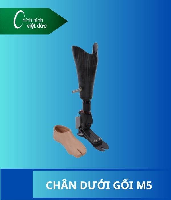 chân giả dưới gối