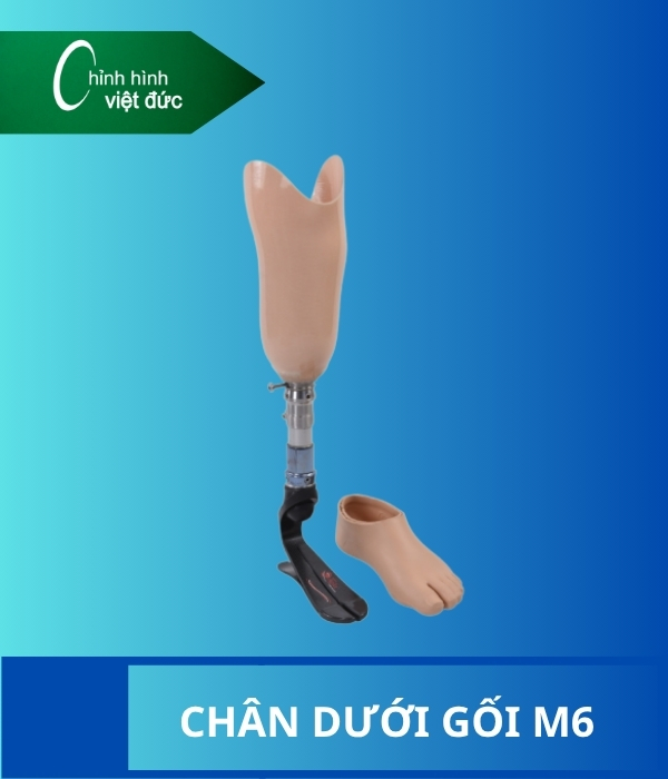chân giả dưới gối