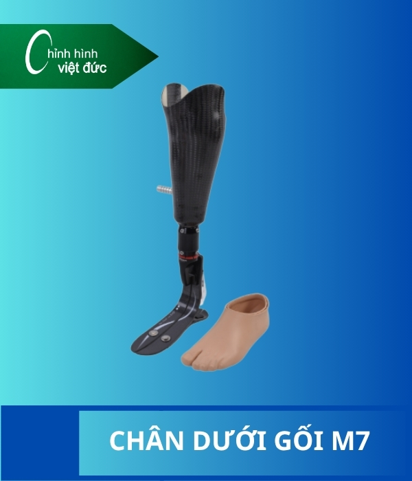 chân giả dưới gối