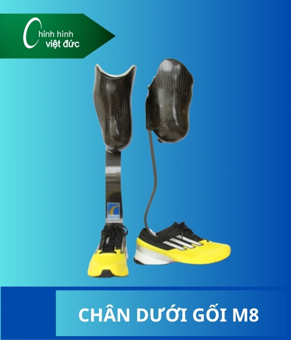 chân giả dưới gối
